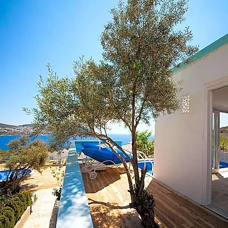 Asfiya Sea View Hotel